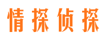 东平情探私家侦探公司